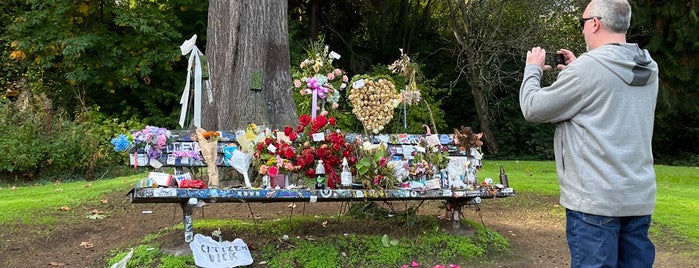 Kurt Cobain Memorial Bench is one of Tourist.