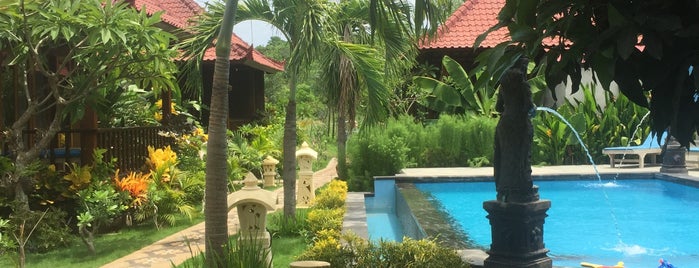 Amora Huts is one of Bali.
