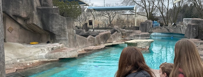 Harbor Seal is one of The 15 Best Zoos in Milwaukee.