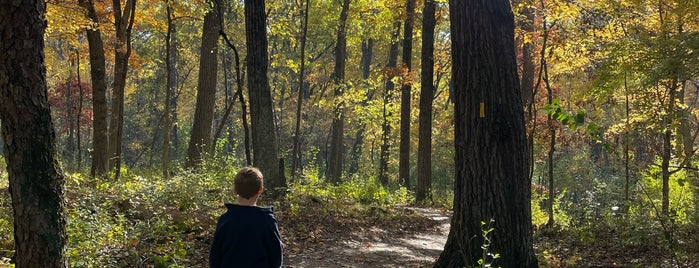 Lapham Peak Unit, Kettle Moraine State Forest is one of Outdoorsy Places in Wisconsin for fun..