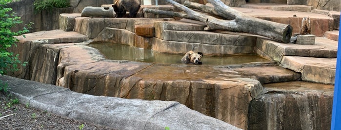 Grizzly Bear is one of Lieux qui ont plu à Mike.