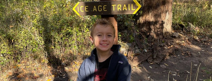 Ice Age Trail-Delafield is one of Wisconsin hiking.