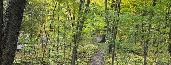 Ice Age Trail: West Bend Segment is one of Wisconsin hiking.