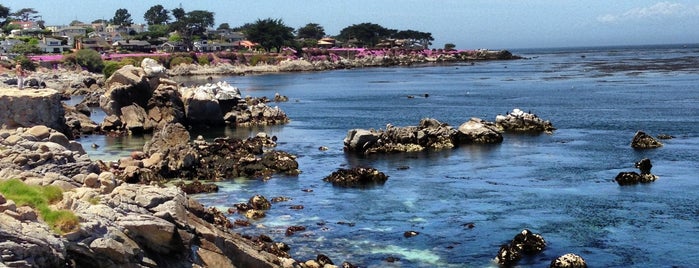 Lovers Point Park & Beach is one of Hiking.