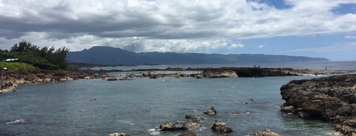 Sharks Cove is one of Favorite Oahu Beaches.