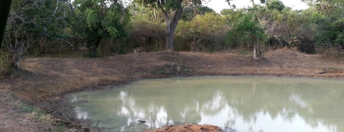 Yala Village Hotel is one of Sri Lanka.