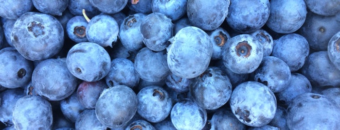 Tom West U Pick Blueberries is one of Local.