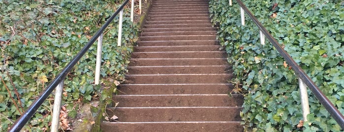 Golden Gardens Staircase is one of Locais curtidos por Ulysses.