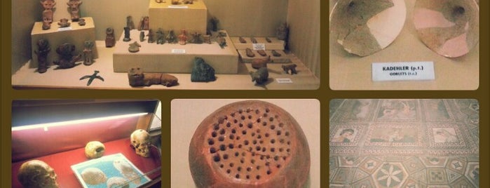 Arkeoloji ve Etnoğrafya Müzesi is one of "Samsun" Gezilecek Yerler.