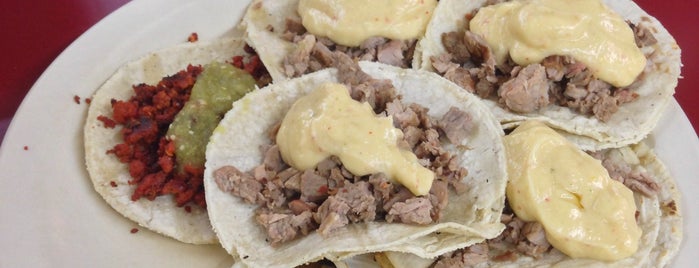 Tacos Furber is one of Restaurantes irapuato.