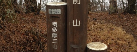 Mt. Gozen is one of 日本の🗻ちゃん(⌒▽⌒).