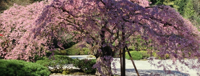 Portland Japanese Garden is one of Portland To-Do's.