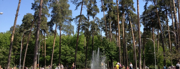 Partyzanskoyi Slavy Park is one of Ukraine. Kyiv.