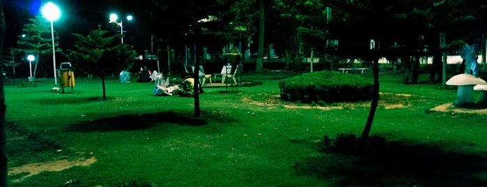 Lawn of the Cantonment Board is one of social place.
