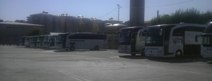 Erzurum Şehirler Arası Otobüs Terminali is one of Bus terminals | Turkey.