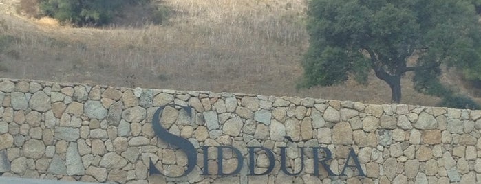 Cantina Siddura is one of Nord-Sardinien / Italien.