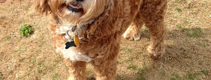 Dog Park is one of Chester'in Beğendiği Mekanlar.