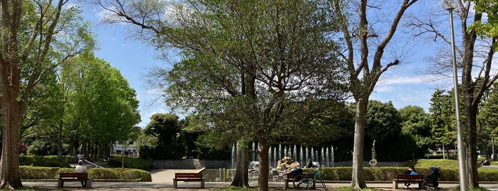 埼玉県営北浦和公園 is one of 埼玉県_さいたま市.