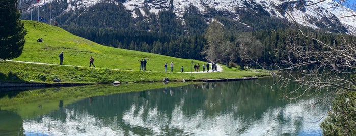 Lake St. Moritz is one of St. Moritz in the Summer.
