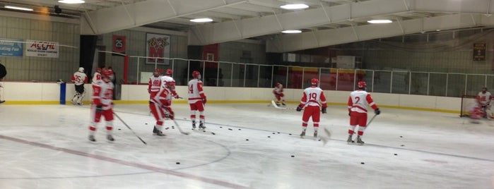 Herbert Wells Ice Rink is one of Tempat yang Disukai William.