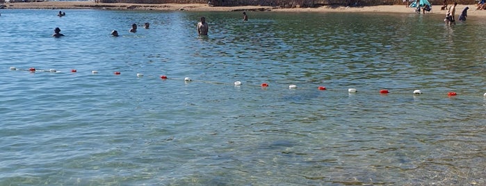 Tekke Plajı is one of İzmir Beach.