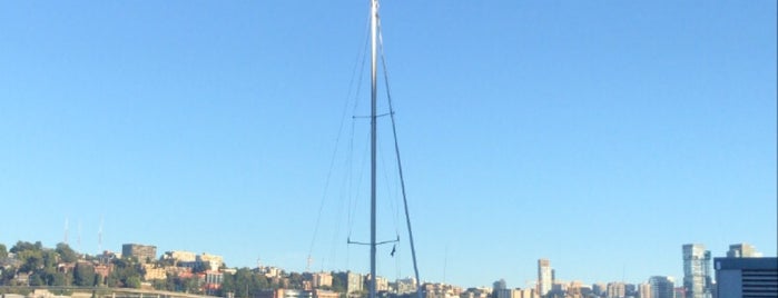 Corvus & Co. is one of Seattle.