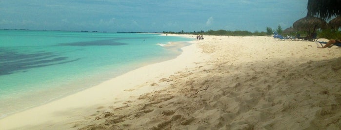 Playa Sirena is one of Locais curtidos por Cynthya.