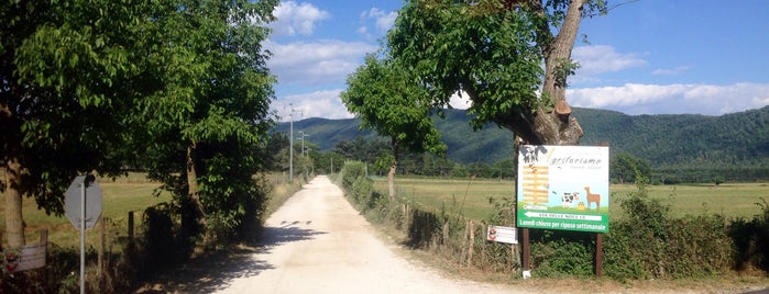 Parco Regionale Dei Castelli Romani is one of Escursioni.