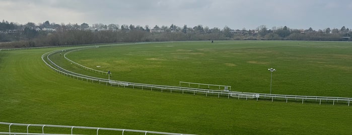 Chester Racecourse is one of jazzy favourites.