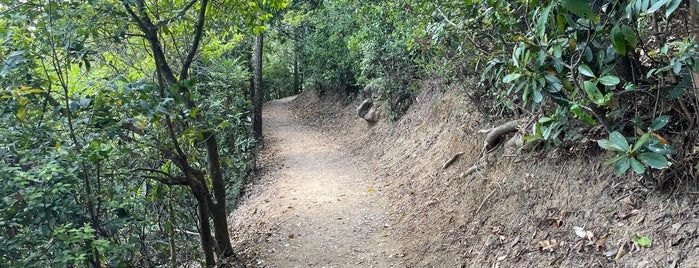 MacLehose Trail (Section 5) is one of Hiking HKG.