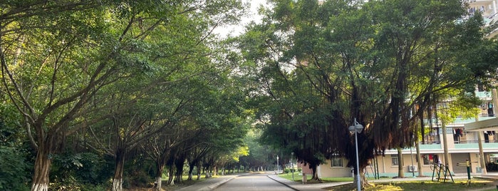 Sun Yat-sen University (Zhuhai Campus) is one of School: Second Home.