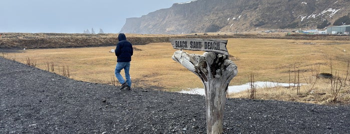 Solheimasandur Black Sand Beach is one of Iceland 🇮🇸.