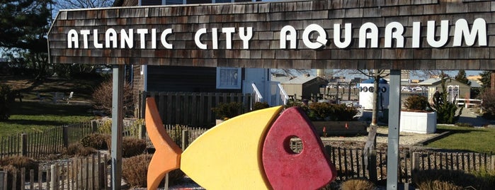 Atlantic City Aquarium is one of DO ATTRACTIONS.