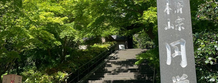 円覚寺 山門 is one of 鎌倉 葉山.