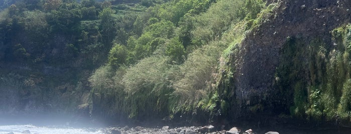 Praia do Seixal is one of Places - Madeira.
