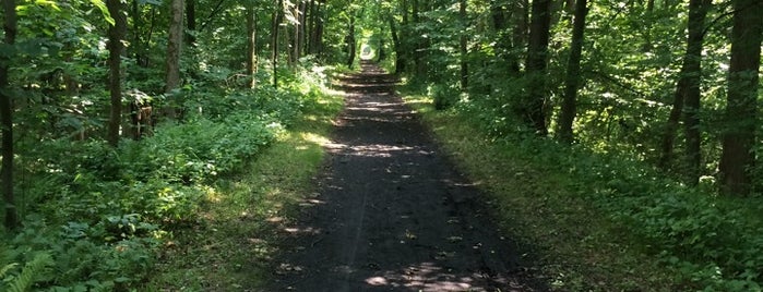 Kerhonkson Rail Trail is one of Catskills.