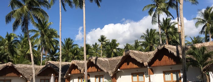 Elysia Beach Resort Donsol Sorsogon Philippines is one of JetzNY'in Kaydettiği Mekanlar.