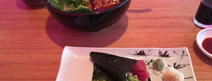 ONI Japanese Dining is one of La haye.