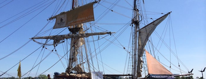 Tres Hombres at NDSM is one of Sunshine in Amsterdam.