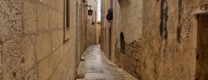 Mdina Gate is one of Birthday @ Malta.