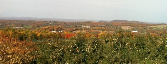 Och's Orchard is one of Fall Fun.