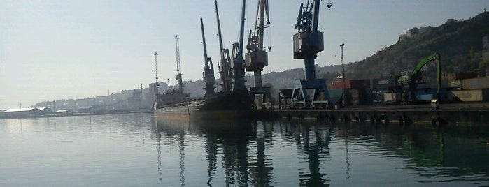 Trabzon Limanı is one of Lieux qui ont plu à Mevlut.