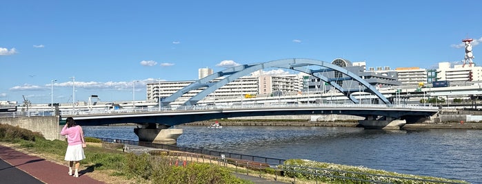 水神大橋 is one of 隅田川に架かる橋.