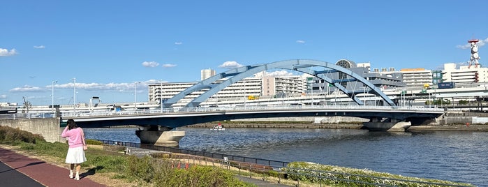 水神大橋 is one of 橋/陸橋.