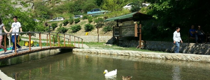 Mesir Tabiat Parkı is one of Esimle guzel bir hafta sonu daha.