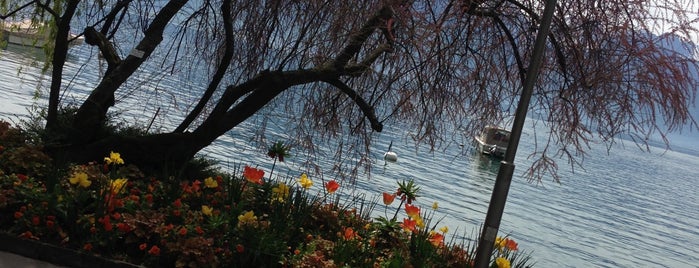 Park de Vernex is one of Montreux.