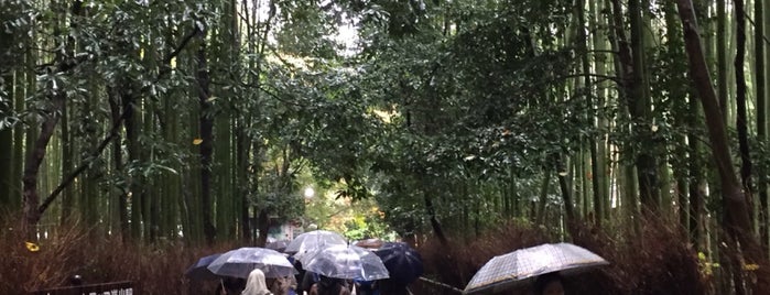 Arashiyama Bamboo Grove is one of Idioot'un Beğendiği Mekanlar.