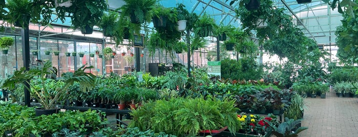 Ruibal's Plants of Texas is one of Downtown Dallas.