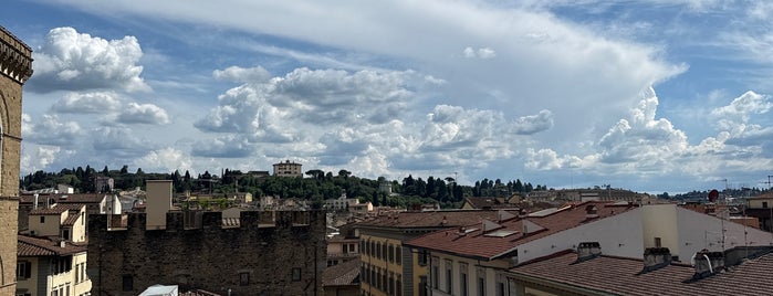 La Rinascente is one of Firenze.