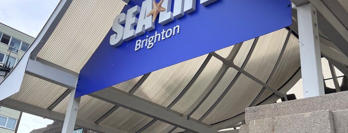 SEA LIFE Brighton is one of Brighton-2021-07.